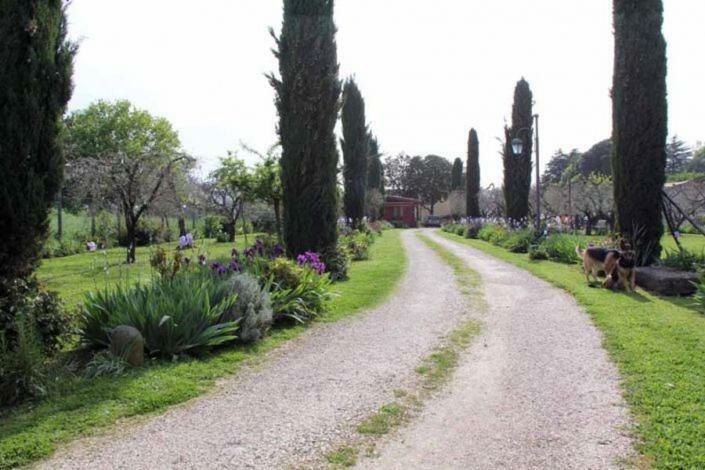 Hotel Il Casale Di Rosaria Zagarolo Exteriér fotografie
